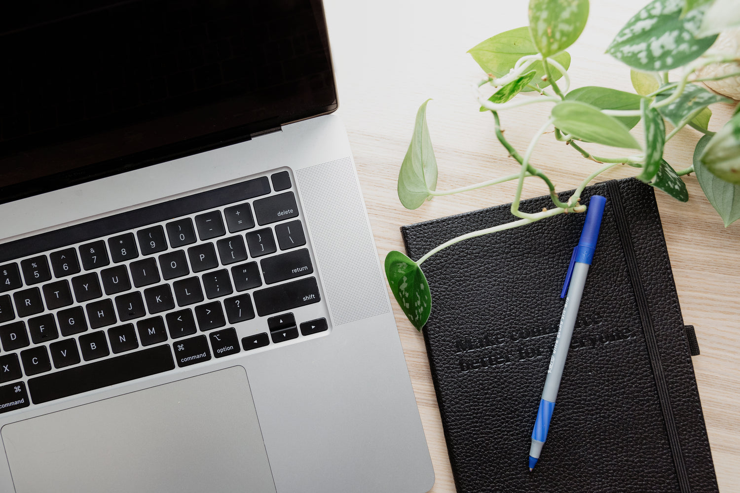 Image with text section